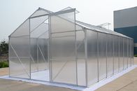 Serre chaude en aluminium de jardin de feuille de polycarbonate de cadre pour la tomate/légume de culture hydroponique