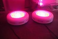 meilleure lumière de plantes poussent LED bulbes RCGOFU 90W (90x1W) à effet de serre