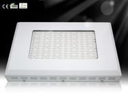 BRICOLAGE LED croître usine lumière RCG144 * 3W pour la culture hydroponique serre HPS de 3-5times