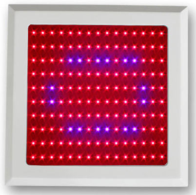 l'usine de 150w LED élèvent le spectre bleu rouge-clair pour le hangar de légume et garde botanique