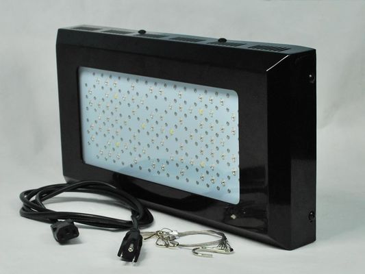 L'usine rouge et bleue de forte intensité de LED élèvent Ligh 3watt pour l'éclairage d'intérieur de potager