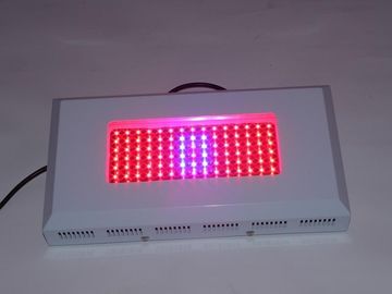 La puissance élevée LED hydroponique élèvent C.A. 85 de Lightst 1watt | 264V, serre chaude élèvent des lumières