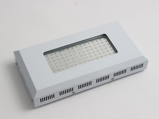 La haute usine de l'effet de la lumière LED élèvent les lumières de 90w, bleues et rouges légères de LED pour l'élevage