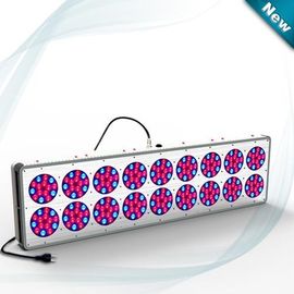 La culture hydroponique LED de rouge bleu élèvent 630nm/460nm légers 612W~644W D C 32 | 45V, usine de LED élèvent la lampe