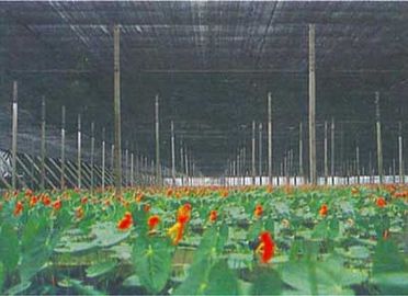Fabrication d'ombre de serre chaude d'agriculture, 2 x 100m, 30gsm - 300gsm
