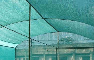 Ombre de Sun de serre chaude de HDPE prenant 3x50m au filet, 4x50m, 6x50m, 4x100m