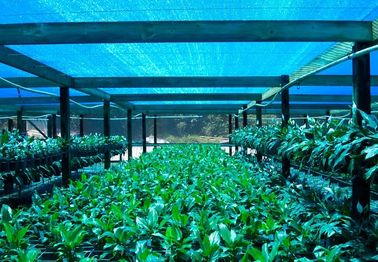 Filet d'ombre de serre chaude, tissu agricole d'ombre pour la ferme de fleur
