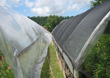 Fabrication en plastique noire d'ombre de serre chaude pour l'agriculture, 4 x 100m