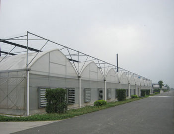 serres chaudes commerciales de feuille de plastique de section de 4000mm, envergure de 8000mm
