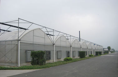 serres chaudes commerciales de style gothique d'envergure de 8000mm avec le film d'inflation d'air, section de 3000mm