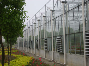 section de 4000mm multi - enjambez les serres chaudes en verre commerciales pour l'agriculture