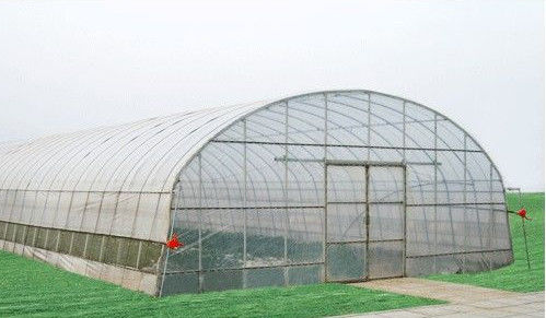 serre chaude économique de tunnel de serres chaudes commerciales d'envergure de 10000mm