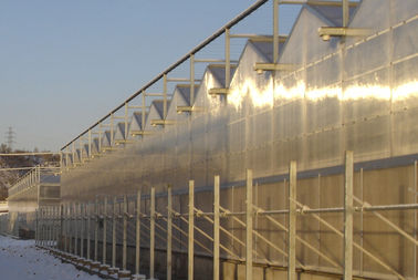 3 arêtes par serre chaude de polycarbonate d'envergure de l'envergure 10800mm pour le message publicitaire