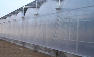 serres chaudes commerciales econommic de section de 4000mm avec le film d'inflation d'air