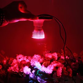 800lm 380nm - la floraison de la serre chaude 730nm menée élèvent IP44 léger pour d'intérieur
