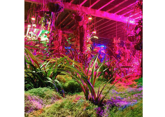 l'usine d'intérieur de 0.6m LED élèvent des lumières pour l'élevage de Chambre verte et de culture hydroponique