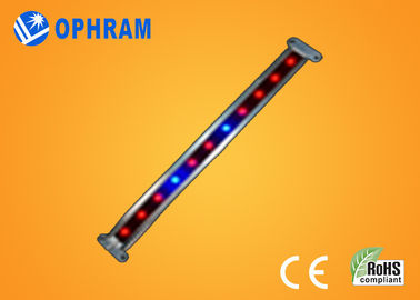 10W SMD LED végétale/fleurissante de 2835 élèvent des lumières avec l'angle de faisceau 180°