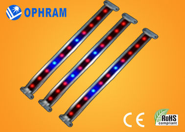 10W SMD LED végétale/fleurissante de 2835 élèvent des lumières avec l'angle de faisceau 180°