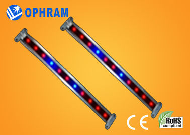 10W SMD LED végétale/fleurissante de 2835 élèvent des lumières avec l'angle de faisceau 180°