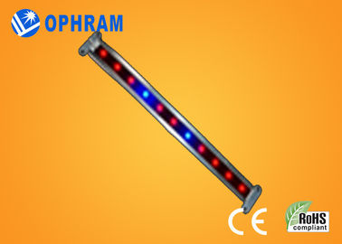 10W SMD LED végétale/fleurissante de 2835 élèvent des lumières avec l'angle de faisceau 180°