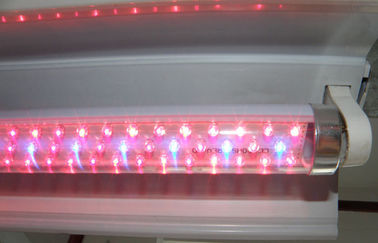 L'usine de G13 LED élèvent des lumières rouges et hydroponique bleu pour la serre chaude d'agriculture