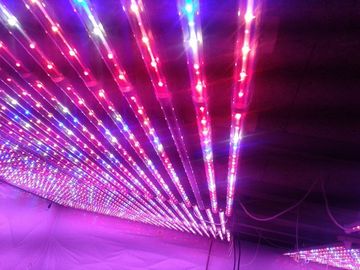 L'usine de G13 LED élèvent des lumières rouges et hydroponique bleu pour la serre chaude d'agriculture