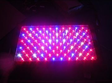 la serre chaude LED de la puissance 120W élevée élèvent la lumière